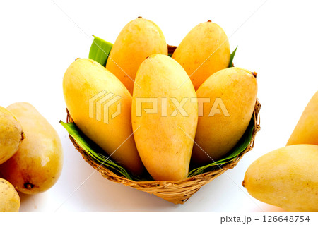 Ripe sweet yellow mango fruits on white Ripe sweet yellow mango fruits on white 126648754