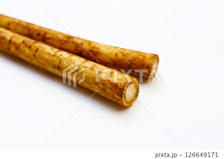 Fresh burdock roots or gobo roots Fresh burdock roots or gobo roots 126649171