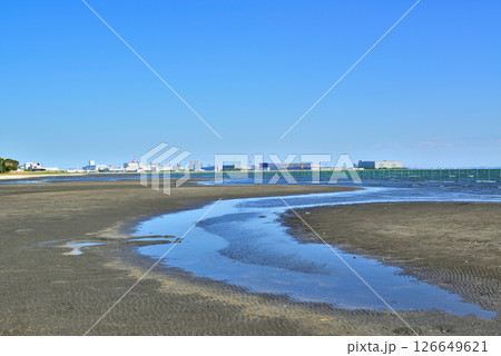 千葉県船橋市 船橋三番瀬海浜公園 千葉県船橋市 船橋三番瀬海浜公園 126649621