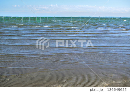 千葉県船橋市 船橋三番瀬海浜公園 千葉県船橋市 船橋三番瀬海浜公園 126649625