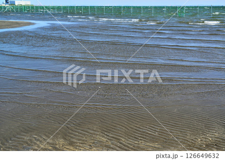 千葉県船橋市　船橋三番瀬海浜公園 126649632
