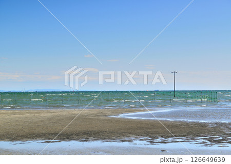 千葉県船橋市　船橋三番瀬海浜公園 126649639