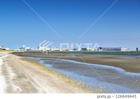 千葉県船橋市 船橋三番瀬海浜公園 千葉県船橋市 船橋三番瀬海浜公園 126649645