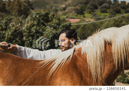 Veterinarian Combing The White Mane Of The Horse  126650141