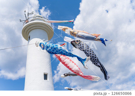 「青森県」鮫角灯台と鯉のぼり　八戸市 126650866