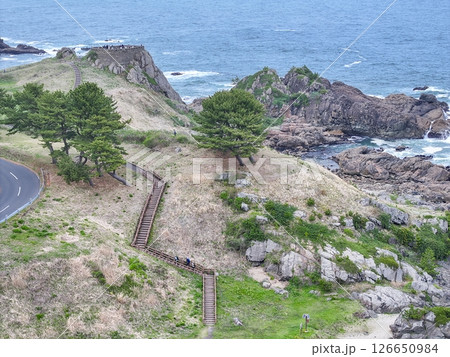 空撮「青森県」種差海岸・葦毛崎展望台の風景　八戸市 126650984