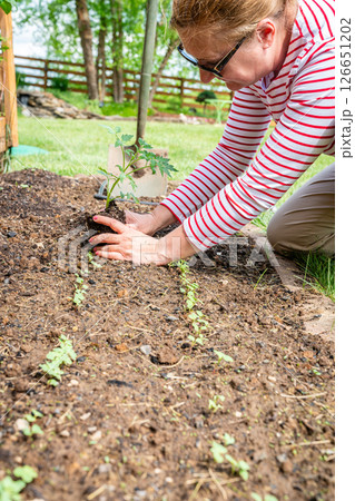 Spring planting 126651202