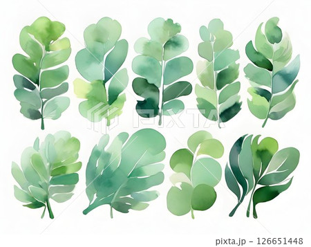 Green palette, Large collection of watercolor paint swatches forming a gradient, ideal for graphic design projects needing a touch of elegance and sophistication 126651448