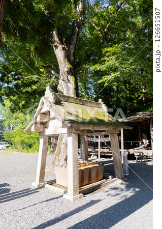 ＜安曇野＞穗髙神社　本宮　手水舎 126651507