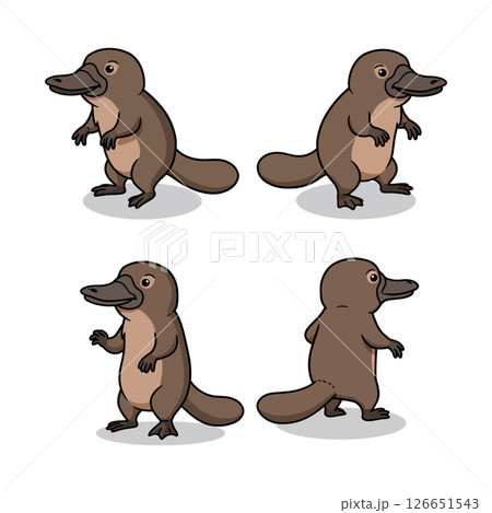 Platypus cartoon vector illustrations ideal for t-shirt printing and creative projects Platypus cartoon vector illustrations ideal for t-shirt printing and creative projects 126651543