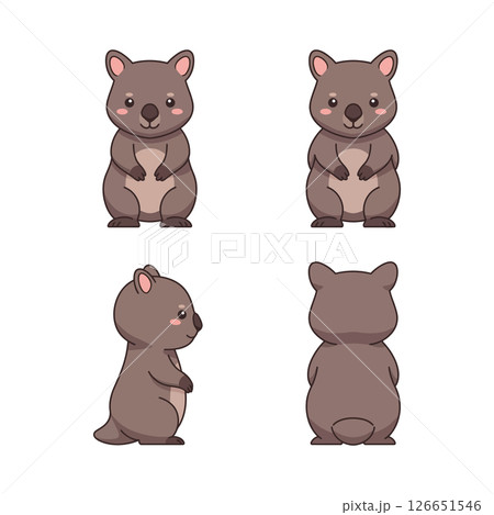 Cute wombat vector illustration for t-shirt printing and craft projects design ideas Cute wombat vector illustration for t-shirt printing and craft projects design ideas 126651546