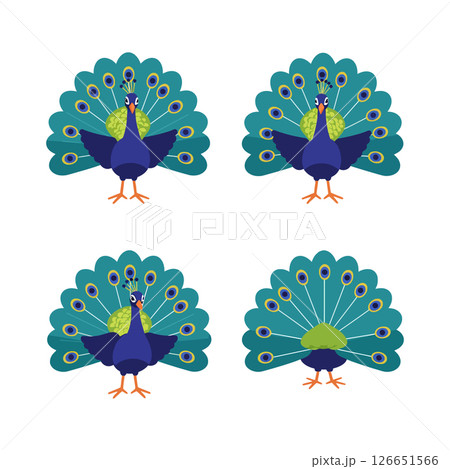 Peacock vector illustration set for tshirt printing and decorative projects with colorful feathers design Peacock vector illustration set for tshirt printing and decorative projects with colorful feathers design 126651566
