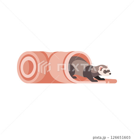 Ferret crawling out of tunnel vector illustration ideal for t-shirt printing and projects 126651603