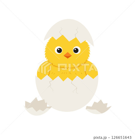 Cute yellow chick hatching from cracked white eggshell vector illustration for tshirt printing projects 126651643