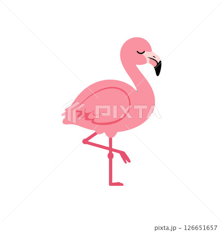 Pink Flamingo Vector Illustration Ideal for T-shirt Prints and Creative Projects 126651657