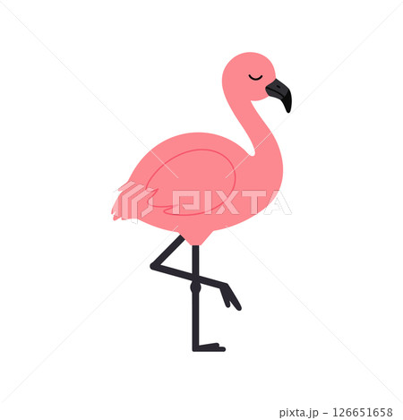 Pink flamingo standing on one leg vector illustration for t-shirt and print projects 126651658