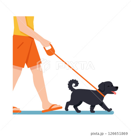 Person walking black dog on leash in orange shorts and sandals vector illustration Person walking black dog on leash in orange shorts and sandals vector illustration 126651869