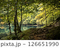Beautiful ethereal forest and lake scene with autumn colours 126651990