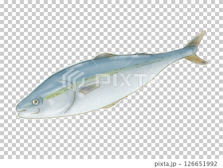 Watercolor hand-drawn style yellow 126651992