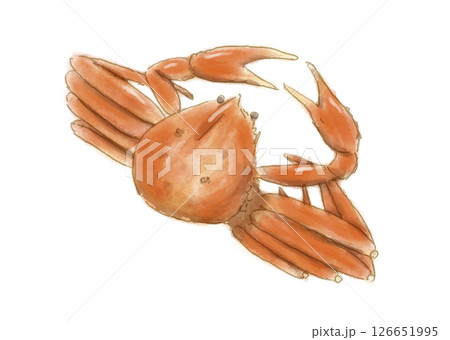 水彩手書き風海の幸カニ 126651995