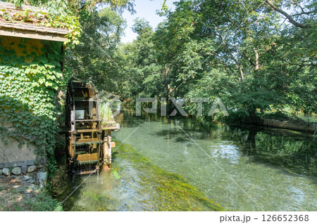 ＜安曇野＞大王わさび農場の水車と美しい小川の絶景 126652368