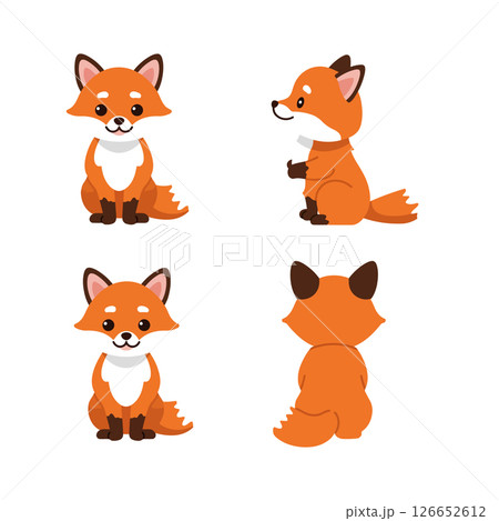 Cute fox animal vector illustration set for t-shirt printing and creative projects design 126652612