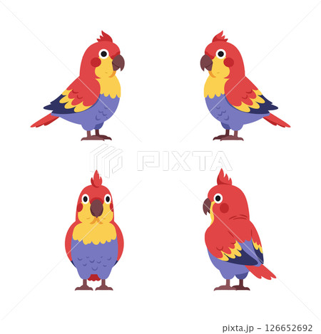 Colorful parrot vector illustration for t-shirt printing and craft projects design ideas 126652692