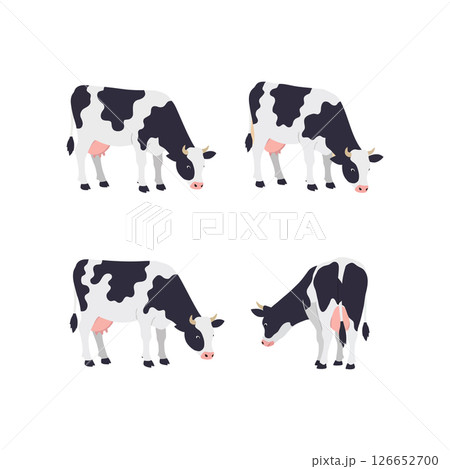 Holstein dairy cows grazing in multiple poses vector illustration for t-shirt print and graphic projects Holstein dairy cows grazing in multiple poses vector illustration for t-shirt print and graphic projects 126652700