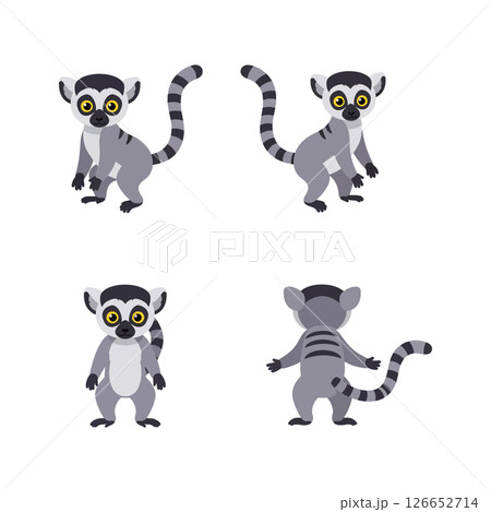 Ring-tailed lemur vector illustrations for t-shirt print and craft projects ideal design set 126652714
