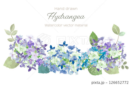 水彩で描いた紫陽花のフレーム 126652772