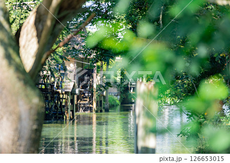 ＜安曇野＞大王わさび農場の水車と美しい小川の絶景 126653015