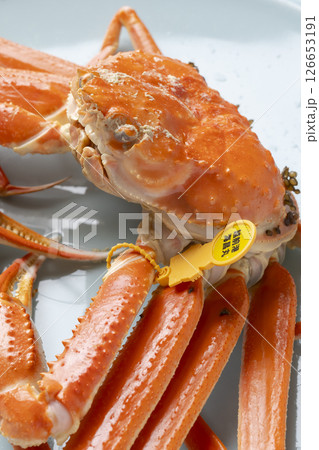【福井県】冬の味覚 越前がに 【福井県】冬の味覚 越前がに 126653191