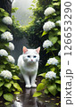 紫陽花の猫 #02 126653290