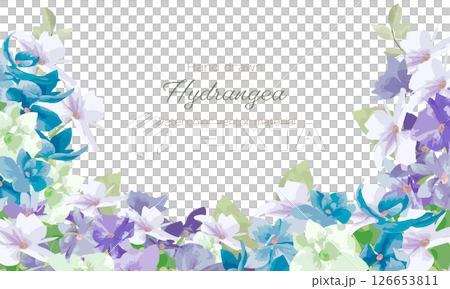 水彩畫的繡球花框架 126653811