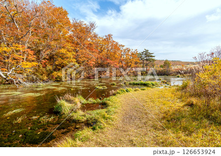【青森県八甲田山の紅葉】グダリ沼の色鮮やかな紅葉は実に見事な風景 126653924