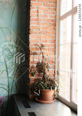 A beautifully dried plant is situated within a cozy brick corner, providing warmth and tranquility A beautifully dried plant is situated within a cozy brick corner, providing warmth and tranquility 126654249