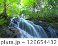 夏の「五介の滝」岐阜県加茂郡東白川村 126654432