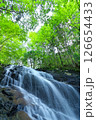 夏の「五介の滝」岐阜県加茂郡東白川村 126654433