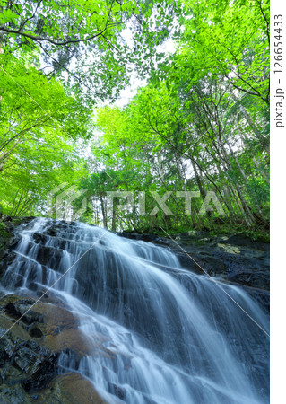 夏の「五介の滝」岐阜県加茂郡東白川村 126654433