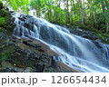 夏の「五介の滝」岐阜県加茂郡東白川村 126654434