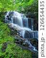 夏の「五介の滝」岐阜県加茂郡東白川村 126654435