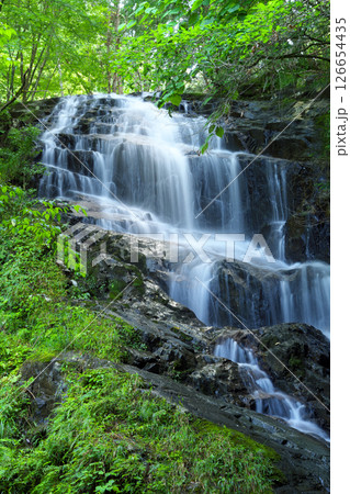 夏の「五介の滝」岐阜県加茂郡東白川村 夏の「五介の滝」岐阜県加茂郡東白川村 126654435