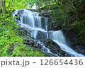 夏の「五介の滝」岐阜県加茂郡東白川村 126654436