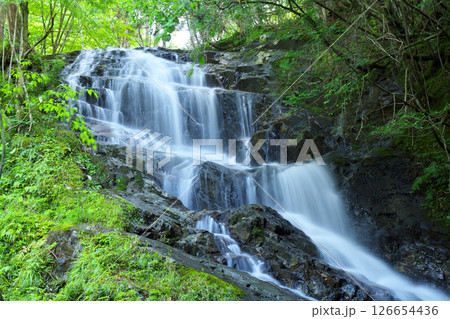 夏の「五介の滝」岐阜県加茂郡東白川村 夏の「五介の滝」岐阜県加茂郡東白川村 126654436