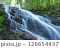 夏の「五介の滝」岐阜県加茂郡東白川村 126654437