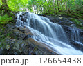夏の「五介の滝」岐阜県加茂郡東白川村 126654438