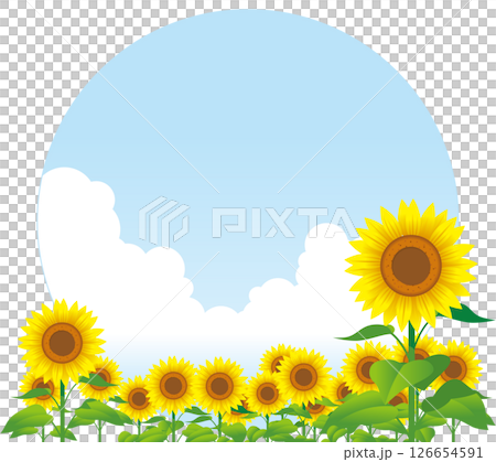 Sunflower 03 126654591