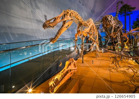 福井県立恐竜博物館の室内風景 福井県勝山市 126654905