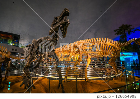 福井県立恐竜博物館の室内風景 福井県勝山市 福井県立恐竜博物館の室内風景 福井県勝山市 126654908