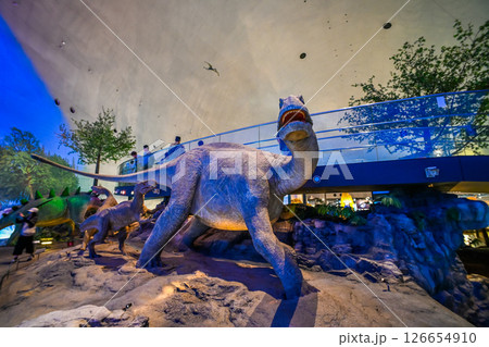 福井県立恐竜博物館の室内風景 福井県勝山市 126654910